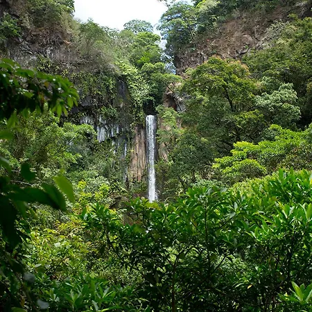 Buena Vista Del Rincon Eco Adventure Park Hotel & Spa-2